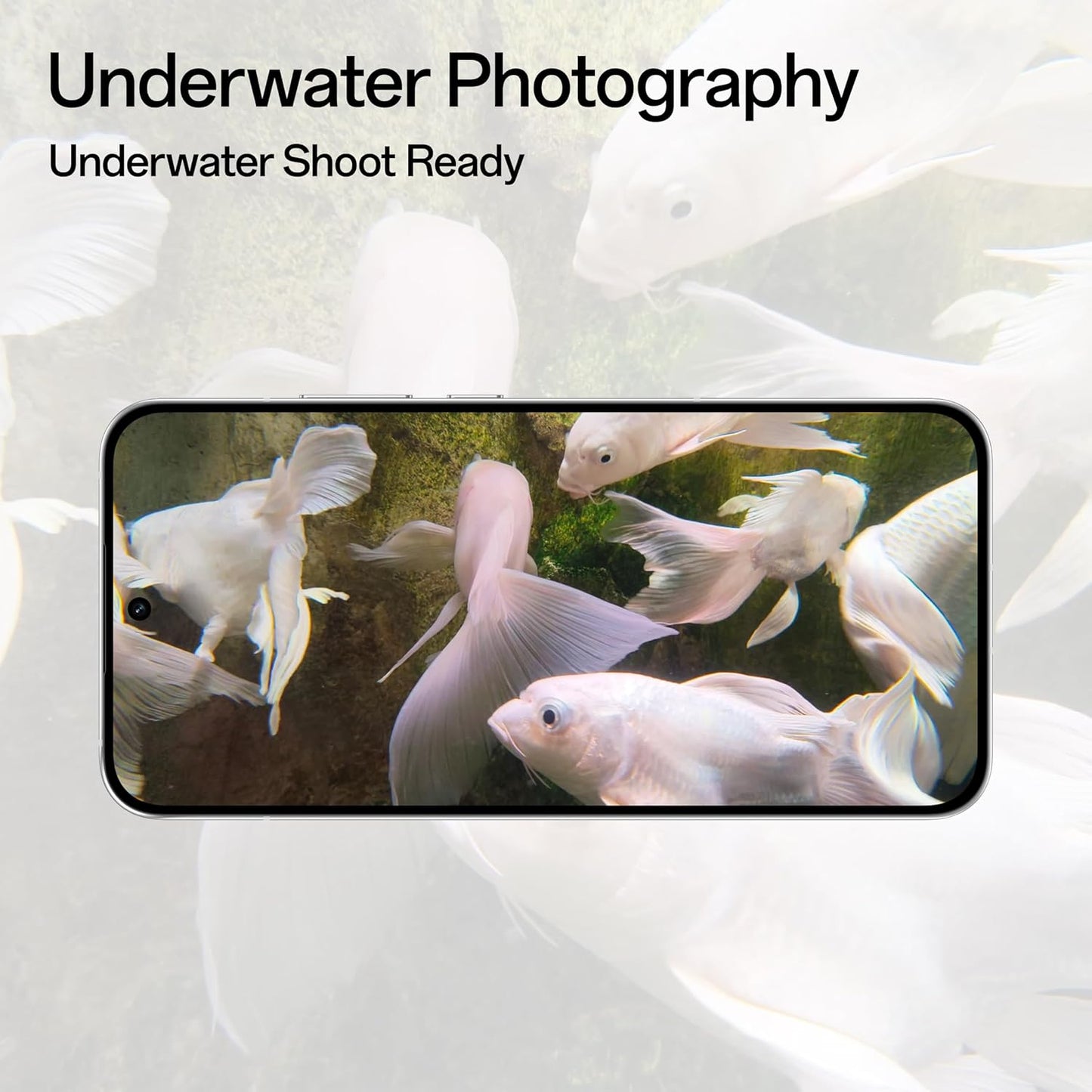 Oppo Reno 14 5G (12GB 256GB)