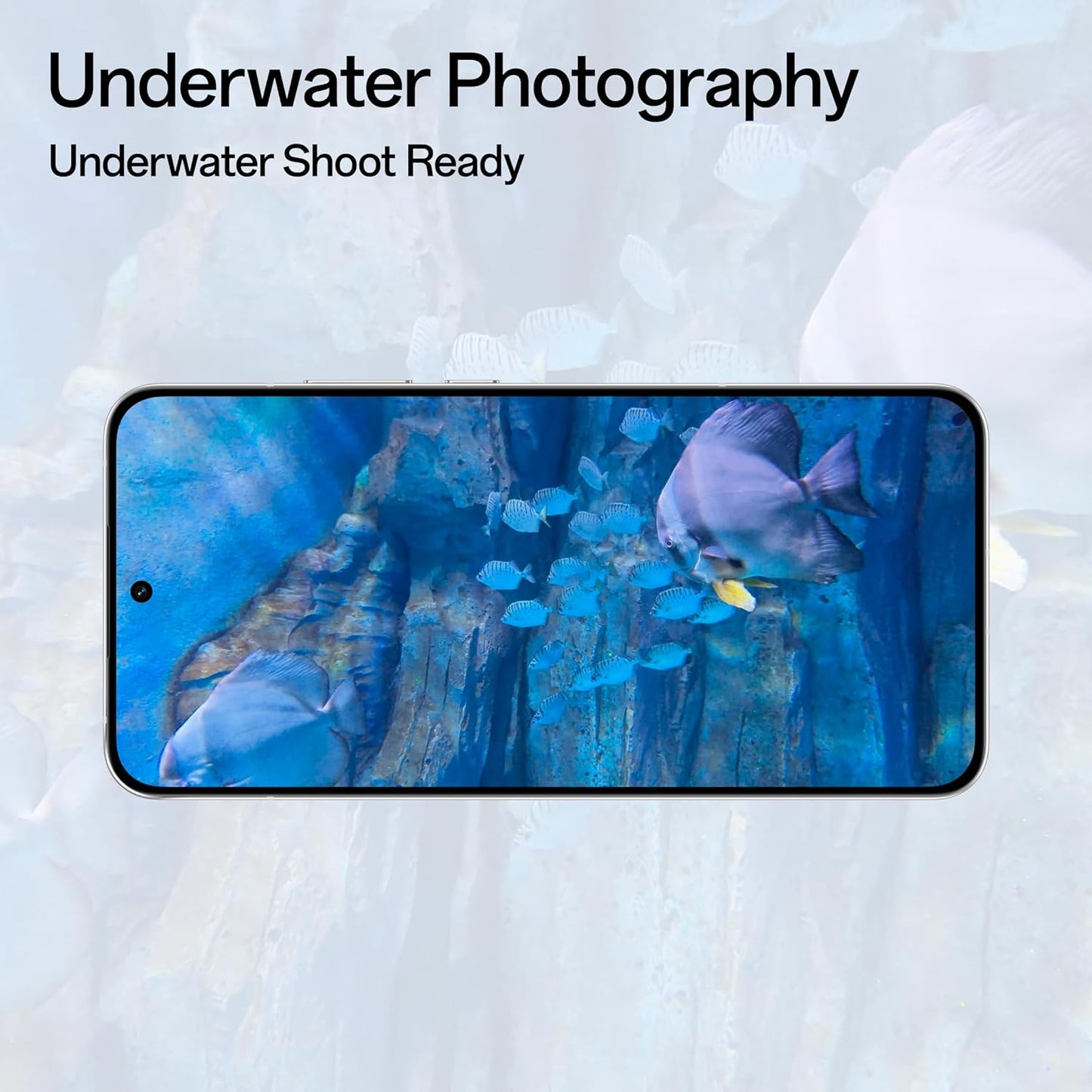 Oppo Reno 14 Pro 5G (12GB 256GB)
