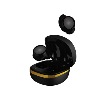 ziox Molecule-601 Earbuds ( 20hrs Music Time)